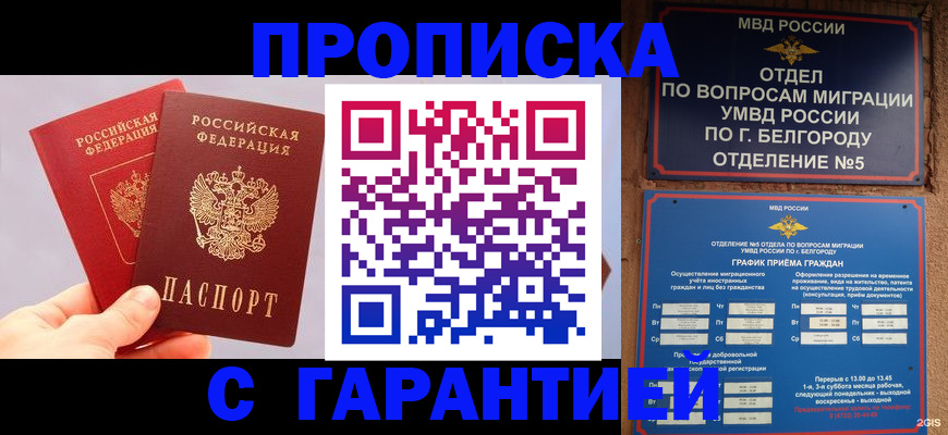 прописка 2025 в Курганинске